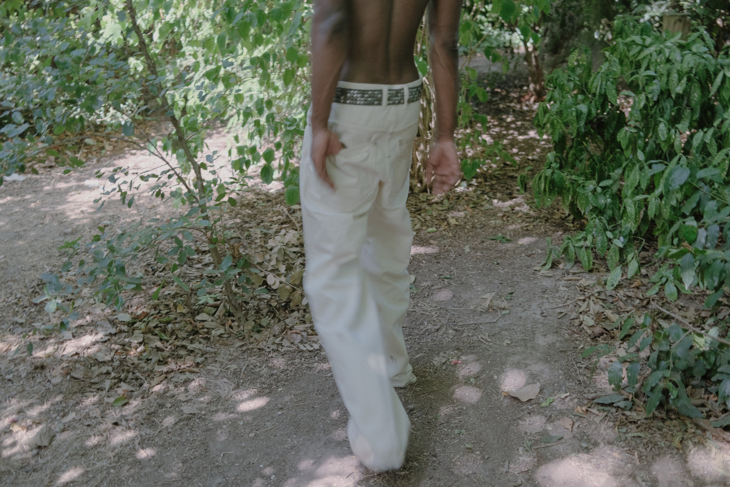 Shop Woods Of Paris